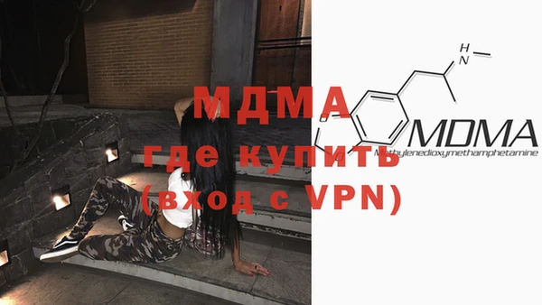дмт Бородино