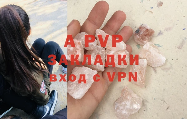 ешки Богданович