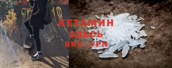 дмт Бородино