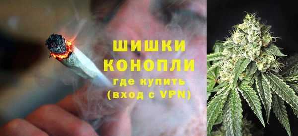 дмт Бородино