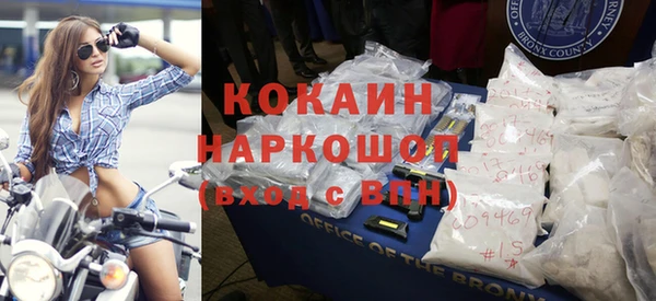 дмт Бородино