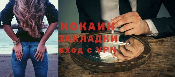 дмт Бородино